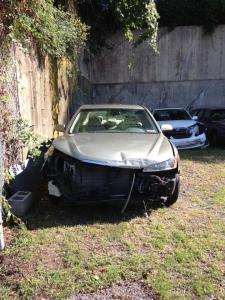 Surviving and thriving